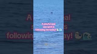 whimsical encounter with a sea creature 🌊  #OceanMagic #NatureConnections #PlayfulWildlife