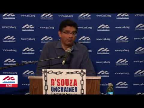 DINESH D'SOUZA on Civil/Constitutional Rights and Legal vs Illegal Immigration