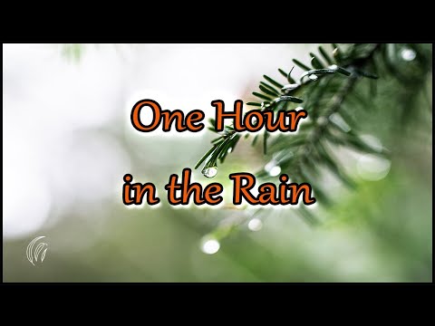 One Hour in the Rain