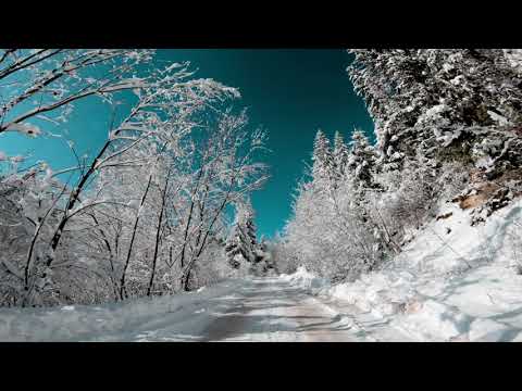 The Chicks - My Best Friend's Weddings (Official Audio)