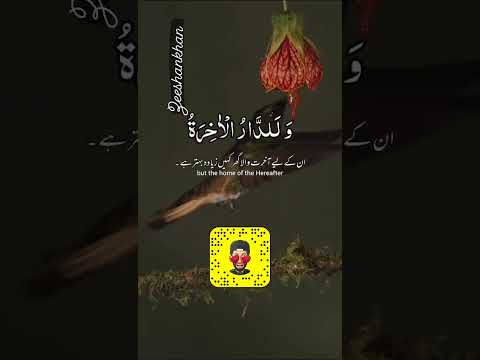 Arzi Zindagi Me Allah Ko Mat Bhul Jana #religion #freequraneducation #quran #love #islamicprayer
