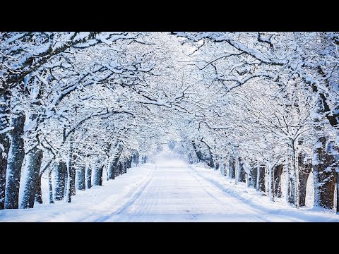 Calm Winter Nights ❄️ Beautiful 4K Piano Music with Falling Snow for Sleep, Study, Meditation