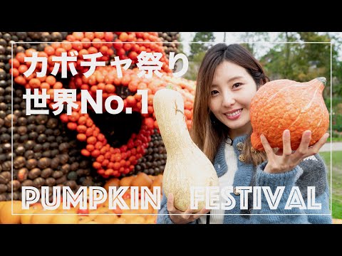 【ハロウィン】ヨーロッパ１の巨大かぼちゃ大会！？ドイツ Halloween - Pumpkin festival in Ludwigsburg ドイツ