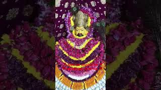 🌹#shishkadani #morvinandan #trending #ytviral #sorts #videoreel
