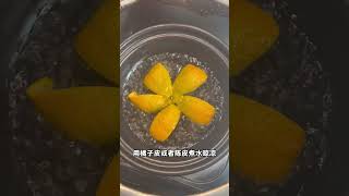 6 Bugs in Kitten System: Cat Owners Must Learn to Fix