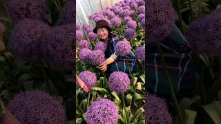 #short #agriculture #agritools#farming2024  #youtubeshorts #satisfying #EliteShortsUnleashed #2206