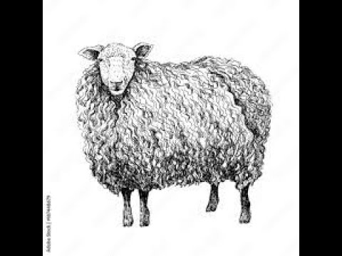 Mary Had a Little Lamb