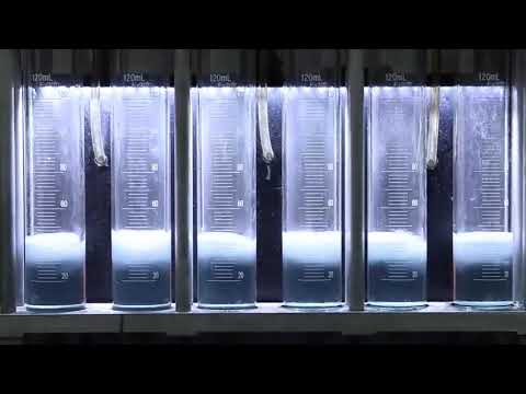 0280155968 440cc Fuel Injector Nozzle Test Video