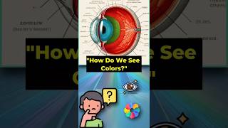 "How Do We See Colors? The Science of Vision Explained!" #science #physicsoflight #Shorts #Trending