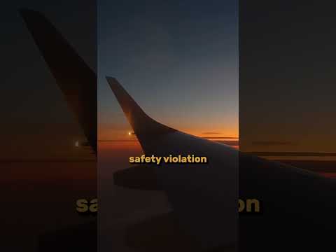 What If Both Pilots Fall Asleep? #shorts