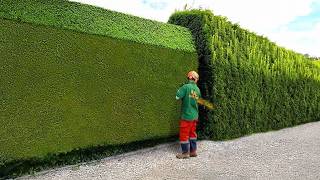 Satisfying Videos Of Workers Doing Their Job Perfectly