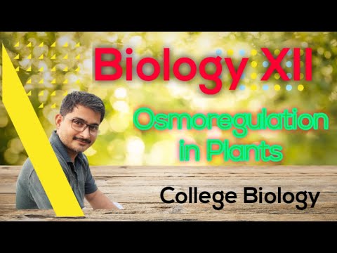 Osmoregulation in plants