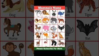 Mammals Name 🐈🐂