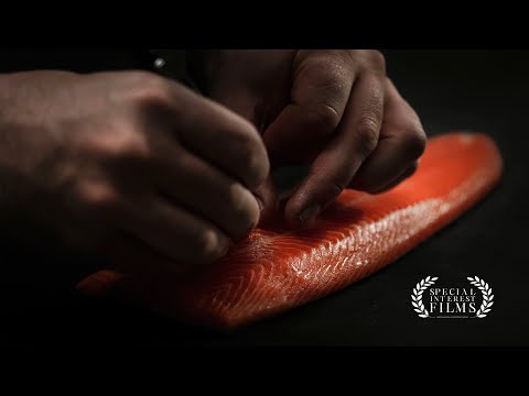 Hima Seafood: Pioneering Sustainable Trout Land-Based Aquaculture with State-of-the-Art Technology