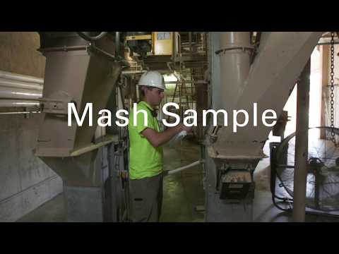 Mash Sample