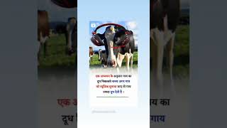 #knowledgefact #knowledge #gk #interestingfacts #studytalks #studyknowledge #generalfacts