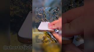 iPhone 13 Pro Max Camera Quality Test☠️#shorts #iphone #camera #viralvideo