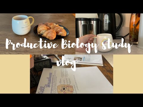 Productive Biology study vlog | 🔆🌼
