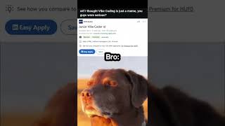 vibe coding is not meme anymore #memes #meme #codingmeme #coding #programmingmeme #codingmemes