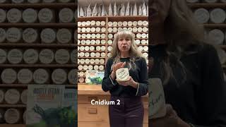 Cnidium 2. Brain health. Heart health.