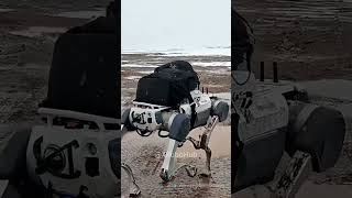 🔥🤖Global First! DEEPRobotics' robot dog tested at 4800m, stable & reliable! #robotics  #quadruped