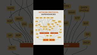 Network Protocol Dependency!!✨