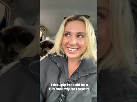 I just moved into an empty 4x4 van!