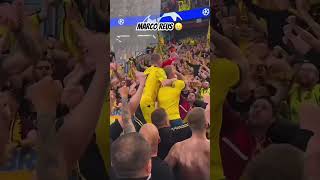 Dortmund fans celebrating the wins against PSG 😂😂 #championsleague #dortmund #psg #semifinal