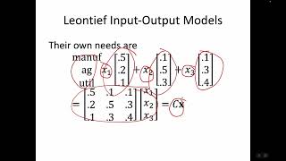 Leontief Input Output Model