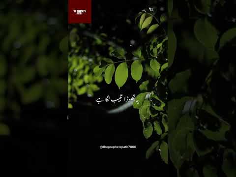 Sırf Allah se umeed rakhe.