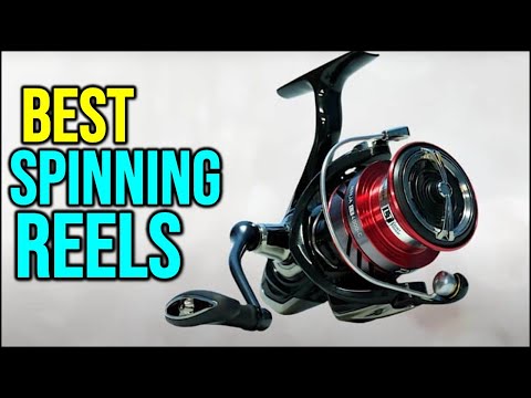 BEST Spinning Reels Top 3 2025