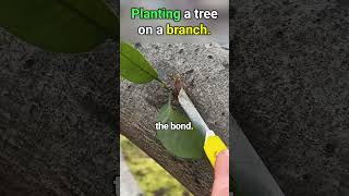 Genius Gardening Tip That Saves Time and Boosts Growth!