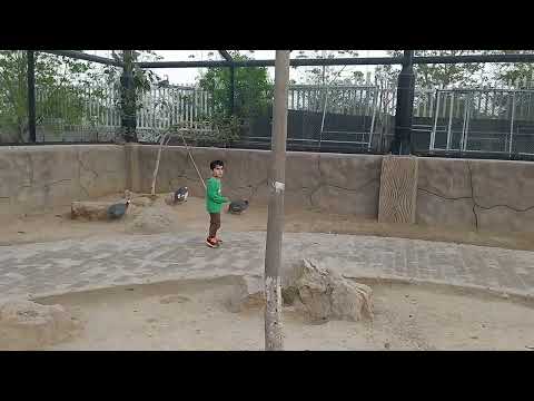 Humayl enjoying at B17 zoo #b17islamabad #islamabad  #zoo