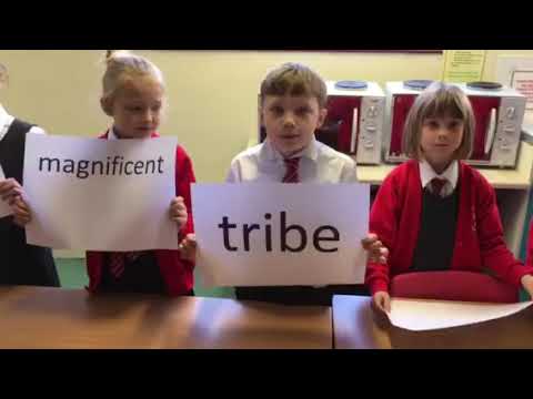Year 3 vocabulary 27th Feb