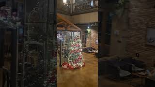 Inside Cafe a place to relax🇰🇷#youtubeshorts#shortsfeed#viralvideos#viral#shortvideo#shortsfeed#cafe