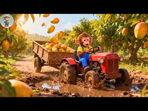 OMG! Monkey Farmer Loses All Mangoes In Mud Puddle 🚜😱 | Farm Work