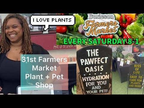 31st Farmers Market | Plant & Pet Shop Packing ASMR + Setup