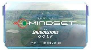 Introducing MINDSET || Visual Technology for Max Performance