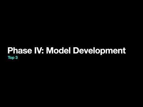 Phase IV:  Model Development | TOP 3