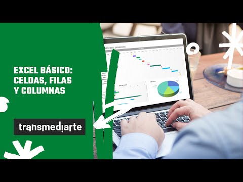 Excel básico: celdas, fila y columnas