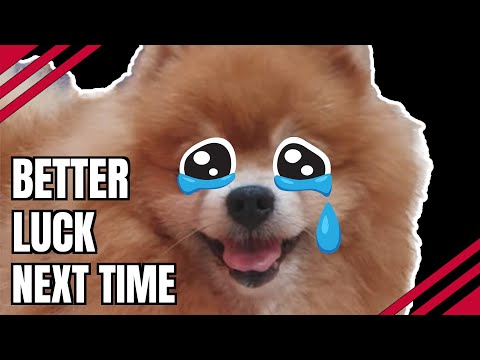 What Happens When Bruno Runs Out of Luck?