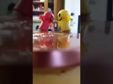 Color doesn't matter