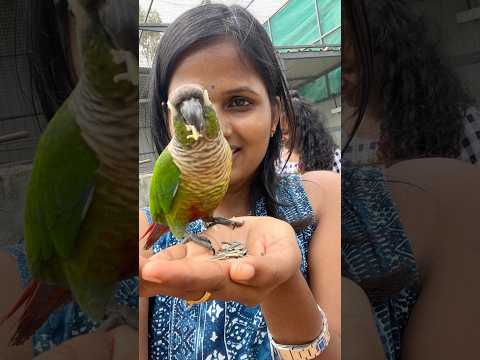 Minivlog day 10 #jeevapark #minivlog #birds #enjoyment