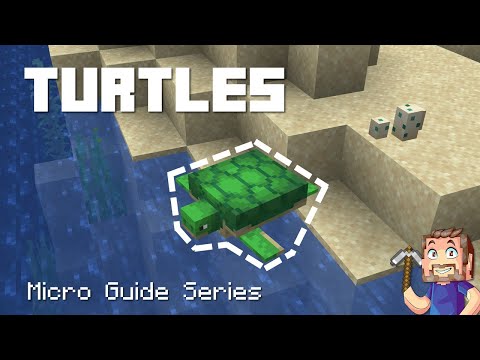 Turtles - Minecraft Micro Guide