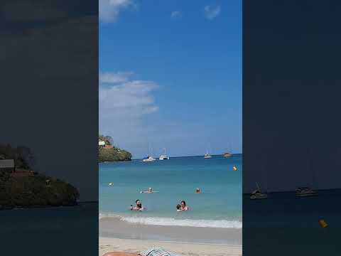 Beach overview from Martinique🌴🍹