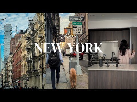 NYC Vlog: Moving to Soho NYC, Why I quit my 6 figure job, NYC life as a dog mom