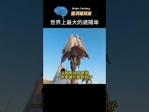 全世界最大的遮陽傘，同時也是全世界最大的自動雨傘，不得不佩服沙特土豪的鈔能力！#世界之最 #世界十大 #地球之最 #脑洞大开 #冷知识 #top10 #危險 #科普 #十大 #最热地方