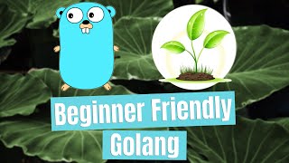 Common Variable Errors - Beginner Friendly Golang