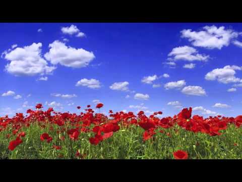 Ken Jacowitz Voice Over Medical Demo