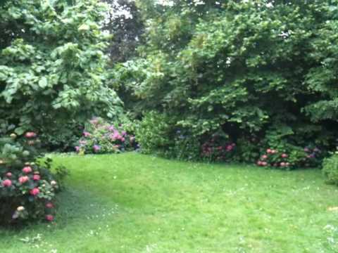 iphone video test
